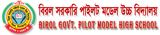 Birol Pilot Model High School